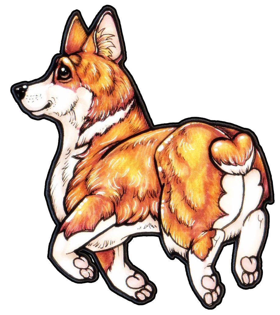 Corgi T Shirt
